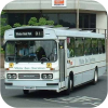 White Bus fleet images